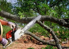 Best Utility Line Clearance  in Hamlet, NC